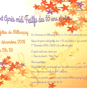 Repas festif des 65 ans et plus