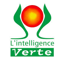 Intelligence Verte
